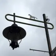 鶴の画像