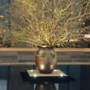 ラム