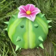 サボテンの花の画像