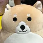 さやか