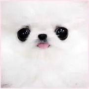 あさりの画像