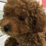 しーちゃん