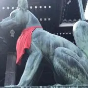 げるぞにの画像