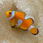みちこの画像