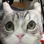 ポカリの画像
