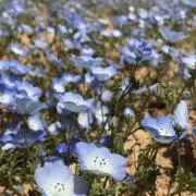 akuy♪☆プロフ必読☆の画像