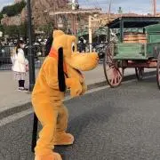 kyuuuuun✳︎プロフお読みくださいの画像