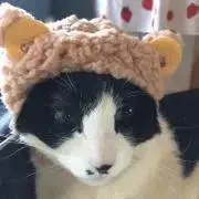 みぃ