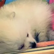 まちゃんの画像