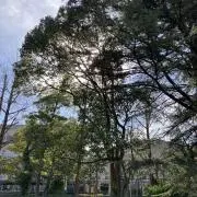 Ono Masafumiの画像