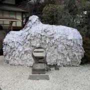 京都大好きの画像