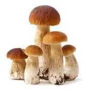 と