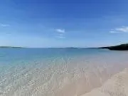 Rebeccaの画像