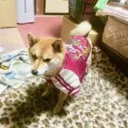 ぬー