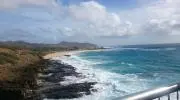 MO2の画像