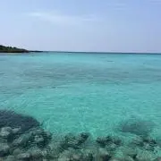 Soraの画像