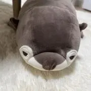 hanの画像