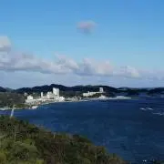 いっちゃんの画像