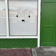 ののの画像