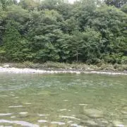 ポールの画像