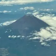 ミーちゃんの画像