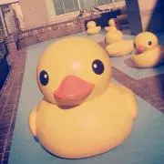 ラッキーライラックの画像