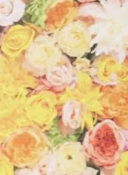 ゆかの画像