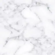 初心者の画像