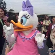 デイジー♡の画像