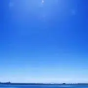 ピカ丸の画像