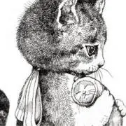 Gustaveの画像