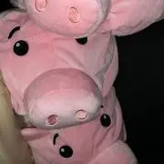 らいす