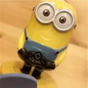 waniの画像