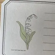 すずらんの画像