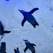 いちごみるく
