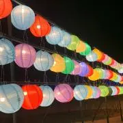 mariの画像