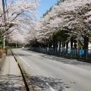 色々断捨離中ですの画像