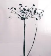 Yukoの画像