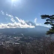 パピコ