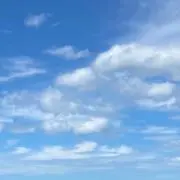 みーの画像