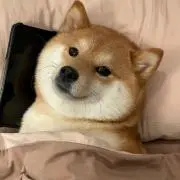 ℳ.の画像