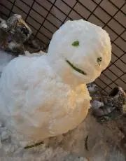 たいたいの画像