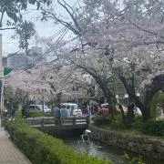 torieri@