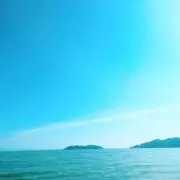 waiha