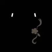 Piの画像