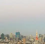 生茶の画像