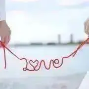 しまだの画像