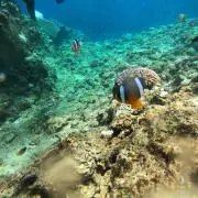 じゃむおじぃ