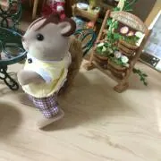 あやにゃこの画像
