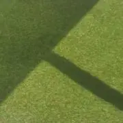 マルスの画像